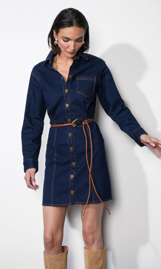Calista Button Up Denim Mini Shirt Dress