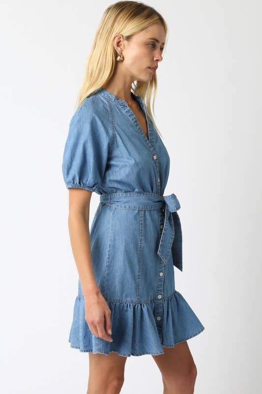 Nova Denim Dress: Denim