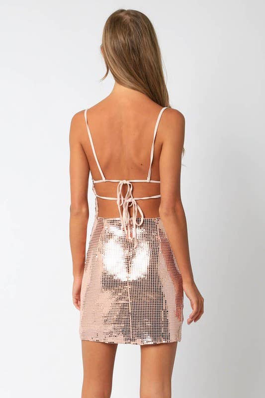 Blush Slinky Mini Dress