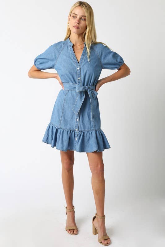 Nova Denim Dress: Denim