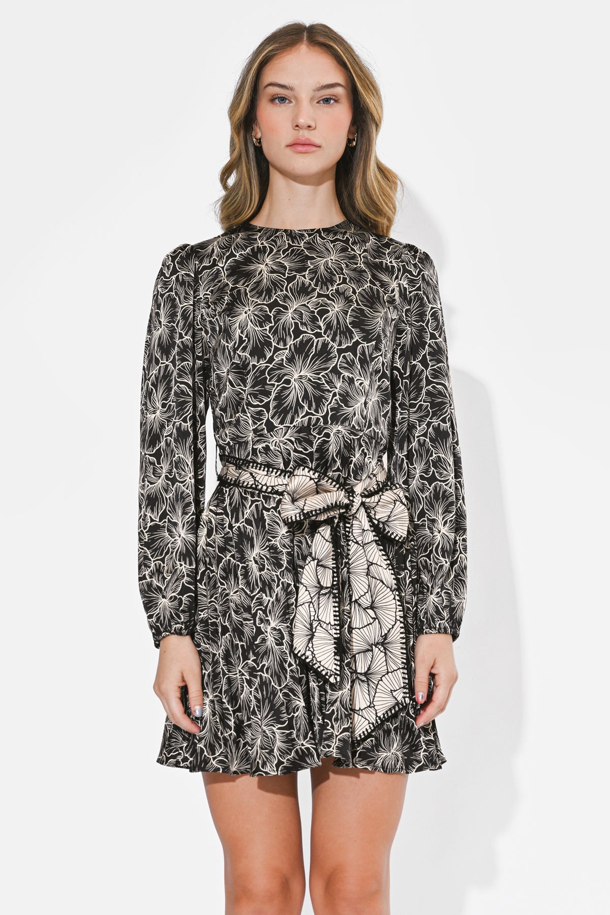 Sasha Pleated Long Sleeve Mini Dress