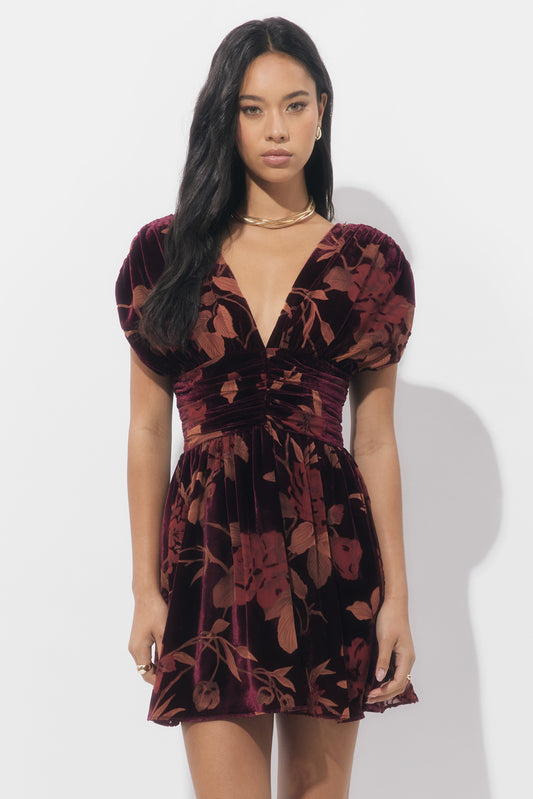 Myla Ruched Velvet Burnout Mini Dress