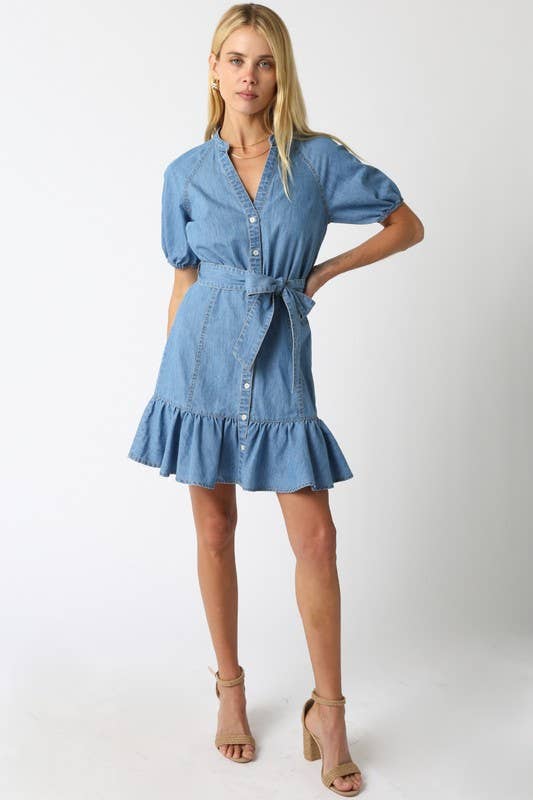 Nova Denim Dress: Denim
