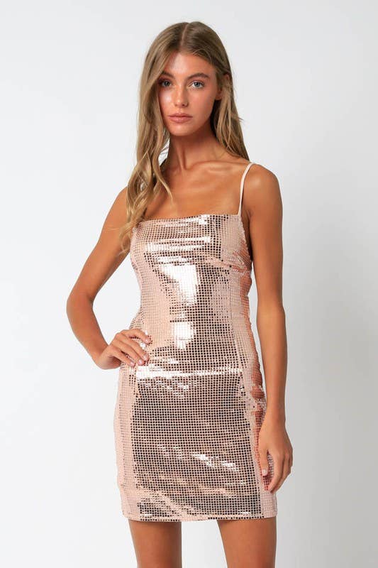 Blush Slinky Mini Dress