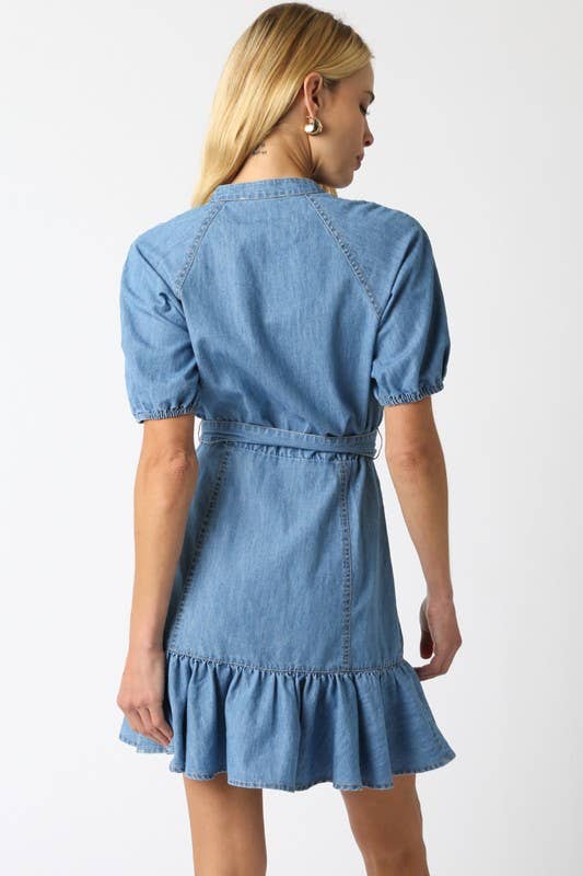 Nova Denim Dress: Denim